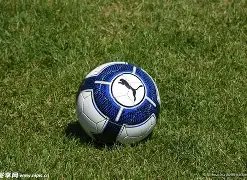 商业汇票承,兑提示期限,是多少,乐竞体育平台,乐竞体育官方网站,乐竞体育登录入口,乐竞体育app下载