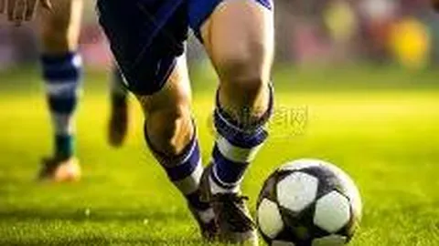 乐竞体育 产品 091831 sem